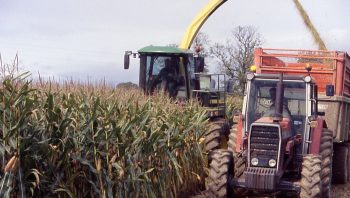 De bons comptes entre agris