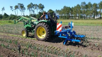 Espace Test Agricole Landais : maraîchage en avant toute !