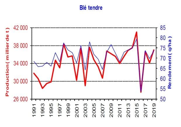 moisson 2019 : historique rendement en blé tendre