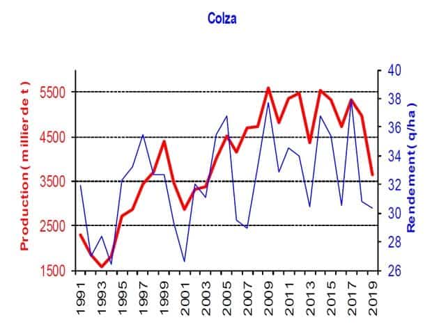moisson 2019 : historique rendement en colza