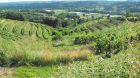 correze vin de paille jura