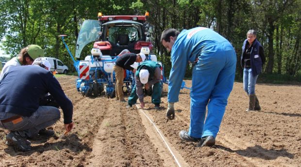 essai-mais-bio-morbihan-taupin-plante-appat-corteva-sonido-cuma-monosem-reglage-semoir-monograine