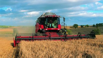 Moisson 2019: plus de blé tendre et d’orge, moins de colza et de blé dur