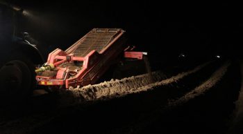 Nord: quand l’Etat s’oppose à des arrêtés municipaux antipesticides