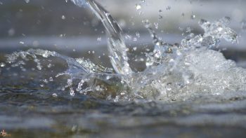 Des mesures pour mieux protéger et partager l’eau