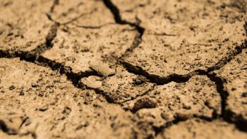 Manque de pluie, chaleur : une partie de l’Europe souffre de la sécheresse