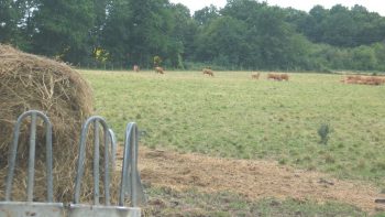 Sécheresse: des jachères valorisables