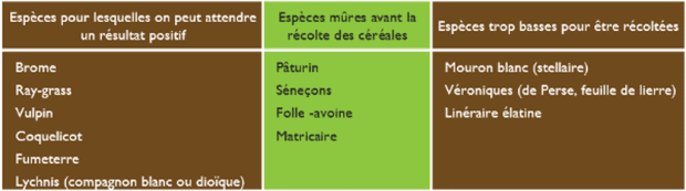 menues pailles : tableau des adventices