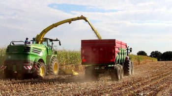 Deux ensileuses en appui pour 8000 ha d’ensilage