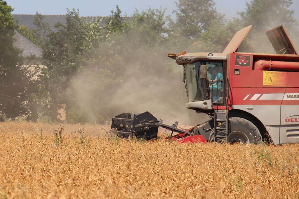 La batteuse hybride Massey Ferguson avance mieux dans les mélanges que dans la culture pure