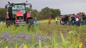 Les couverts végétaux, avec ou sans glyphosate ?