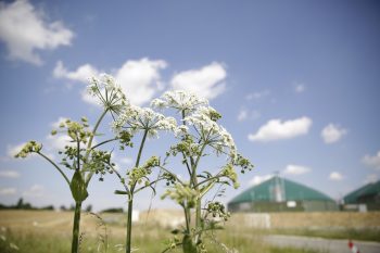 Méthanisation: comment financer son projet d’injection de biométhane?