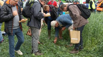 Votre journée au Salon aux champs 2019