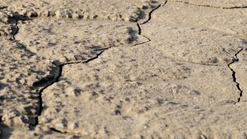 Sécheresse : le département du Nord en « alerte renforcée » jusqu’au 30 novembre