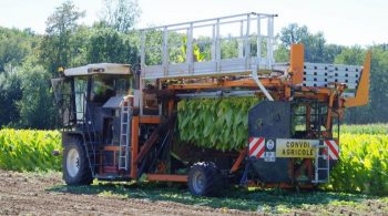 Dans le Périgord, l’unique usine de tabac en France vit ses derniers jours