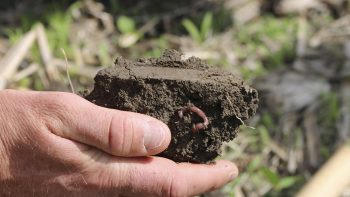 Compaction des sols: l’identifier et la comprendre pour l’éviter