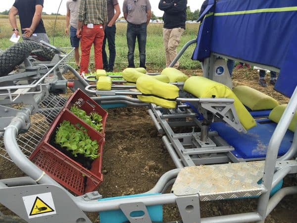 Maraîchage : les machines intègrent aujourd'hui la dimension de confort de l'utilisateur. 