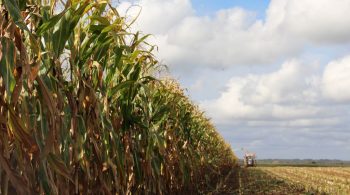 700.000 litres de lait jetés par jour, l’angoisse