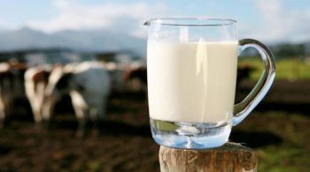 Lubrizol: levée des restrictions sur le lait et les produits laitiers