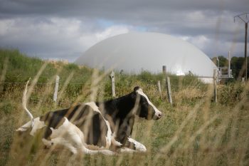 Les questions à se poser avant de se lancer dans la production et l’injection de biométhane