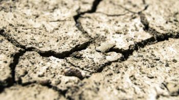 Sécheresse : trois bassins de la Somme placés en « alerte » et « alerte renforcée »