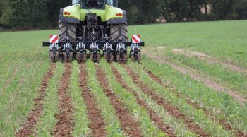 De la polyvalence dans le strip-till