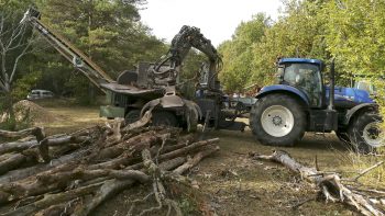 Bois: une filière locale et d’avenir