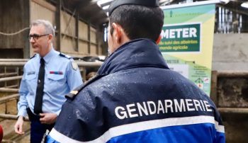 Intrusions et vols dans les fermes 14 500 faits délictueux en 2019