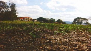 Aux racines du malaise paysan