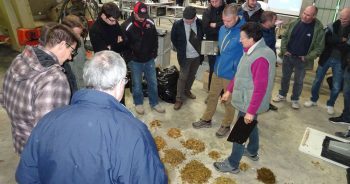 La qualité d’ensilage en questions en Aveyron