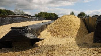 Un silo spécifique pour le maïs épi