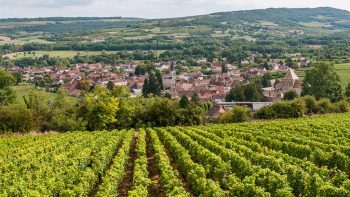 « Colère » des viticulteurs bourguignons contre l’Inao sur un projet de révision de l’AOC Bourgogne