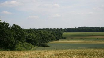 Le recul des maires-agriculteurs dans une ruralité en mutation