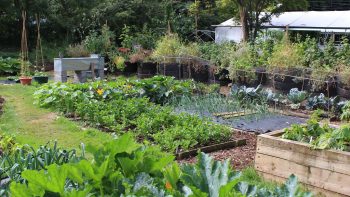 À Paris, le premier salon de la permaculture pour jardiniers ruraux et urbains