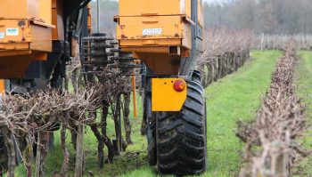 Tailler la vigne deux fois plus vite