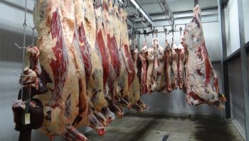 La cuma ou la Scic pour gérer des abattoirs publics