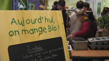 Manger bio à la cantine, un choix politique pour des maires de terrain