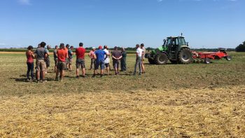 Cuma et agriculture biologique : un mariage réussi