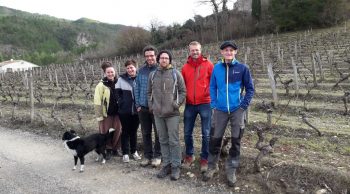 Drôme: 5 viticulteurs pour une nouvelle cuma