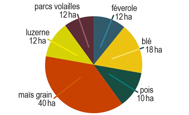 agriculture biologique