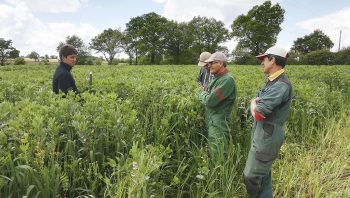 Restez souple avec l’agriculture de conservation