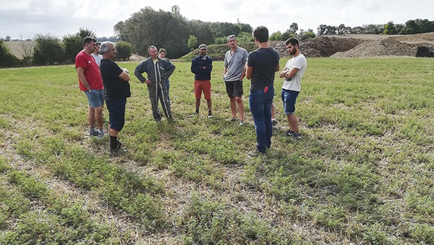 Agriculture de conservation des sols