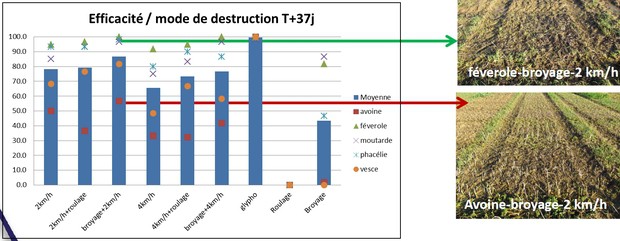 désherbage électrique Zasso Xpower essai Arvalis