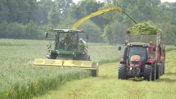 Coronavirus: Paris demande un soutien urgent à Bruxelles pour certains marchés agricoles