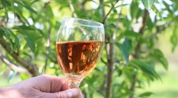 Moins de rosé l’été prochain ?