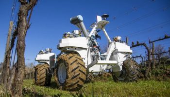 Yanmar investit dans les robots agricoles