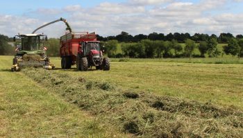 Comment faucher pour ensiler dans les 48 heures?