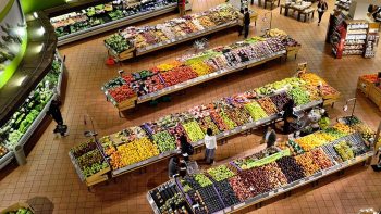 Rebâtir une souveraineté alimentaire en France