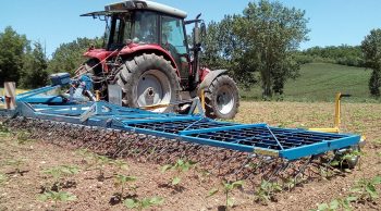 Tarn : douze mètres de herse étrille Treffler à l’essai