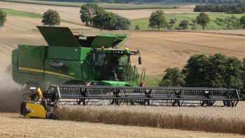 Barre de coupe flexible: ne pas négliger la préparation de sol